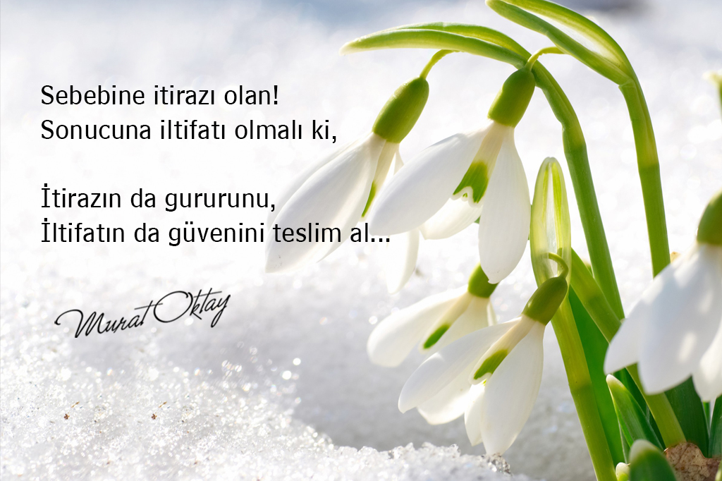 murat oktay soz2